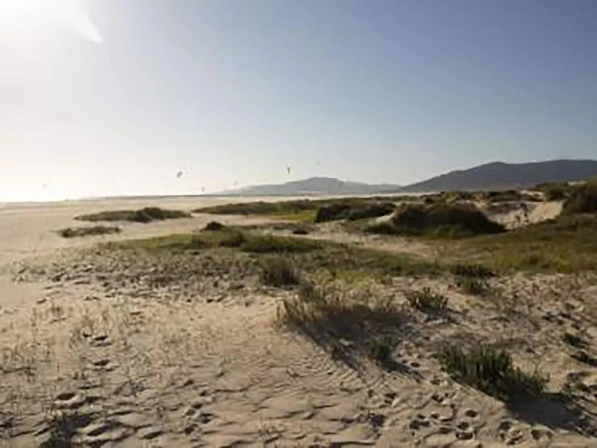 Lightbooking Mirador I Tarifa